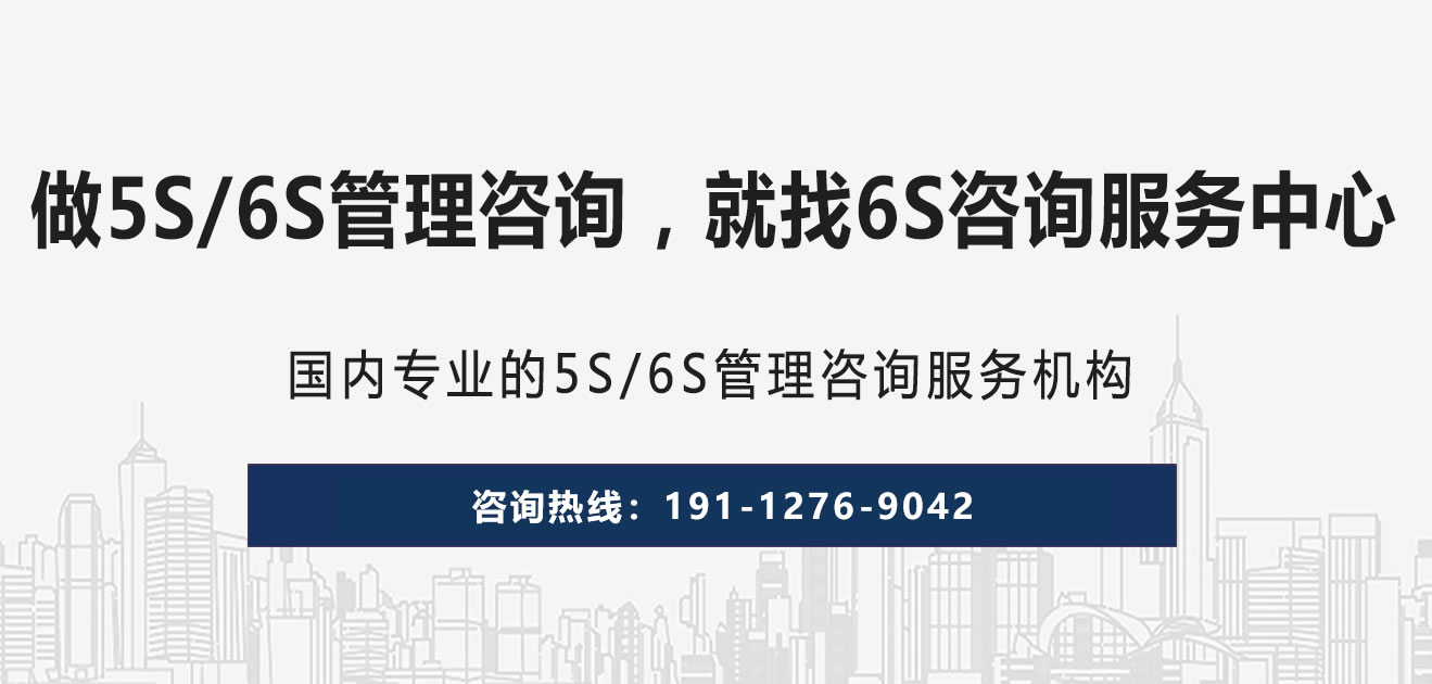 6S咨詢